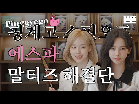 [EN/JP] 이달의 계원ㅣ9월 에스파 - 말티즈 해결단