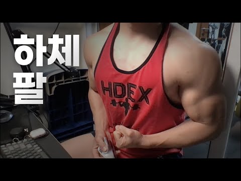 40대 직장인 / 헬스, 홈트 Home Gym / 하체, 팔 24/12/3