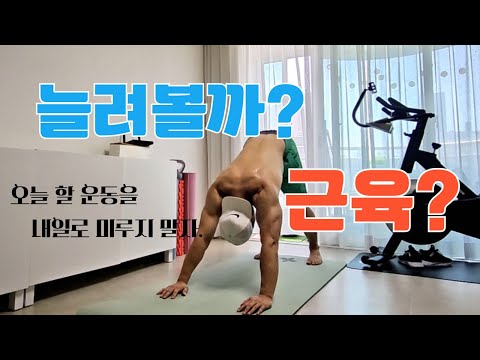 🔥초 간단 웜업 루틴, 전신 시원하게 풀어지는 동적 스트레칭 플로우!  #calisthenics #전신웜업 #동적스트레칭 #준비운동 #플로우 #스트레칭 #고관절 #준비운동 #홈트