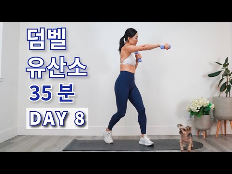 DAY 8 전신 칼로리 태우는 덤벨 유산소 운동 : 무조건 살 빠지는 다이어트 홈트 루틴  / Burn Calories Dumbbell Cardio Workout