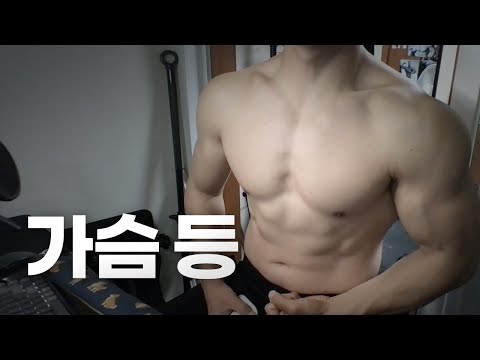 홈트 3년차 헬린이 / 쇠질 ASMR 운동 방송 / 가슴, 등 4/23