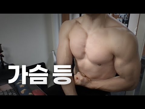 홈트 3년차 헬린이~ 가슴, 등 운동 라이브 23/02/11
