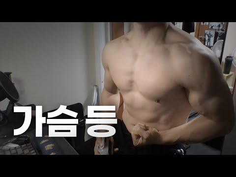 홈트 3년차 헬린이 / 가슴, 등 운동 라이브 2/15