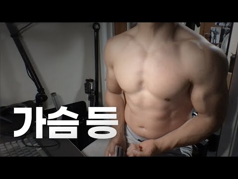 홈트 4년차 헬린이 / 쇠질 ASMR 운동 방송 / 가슴, 등 8/24