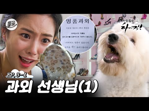 [지뚫킥] 명품 구두를 물어뜯은 히릿(🐶)으로 인해 취업전선에 뛰어든 정음 📝과외 선생님 1편📝| 지붕뚫고하이킥 MBC090909방송