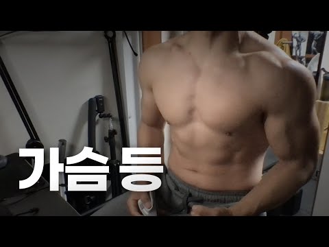 홈트 4년차 헬린이 / 쇠질 ASMR 운동 방송 / 가슴, 등 12/11