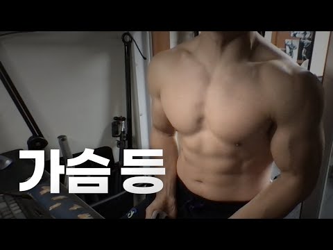 홈트 4년차 헬린이 / 쇠질 ASMR 운동 방송 / 가슴, 등 11/16