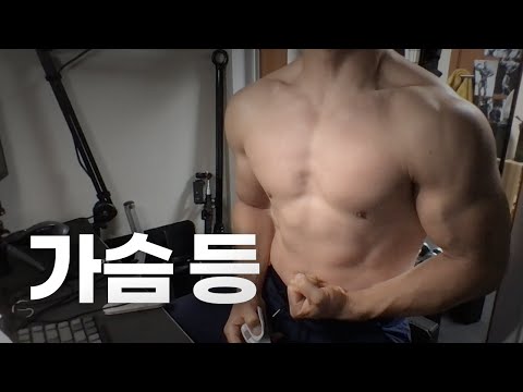 홈트 4년차 헬린이 / 쇠질 ASMR 운동 방송 / 가슴, 등 8/31
