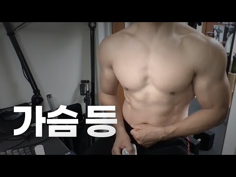 홈트 4년차 헬린이 / 쇠질 ASMR 운동 방송 / 가슴, 등 8/27