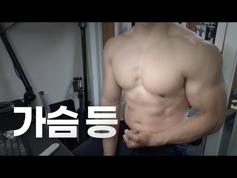 홈트 4년차 헬린이 / 쇠질 ASMR 운동 방송 / 가슴, 등 8/13