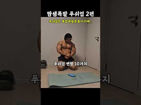 땀샘폭발 10분 푸쉬업 2편