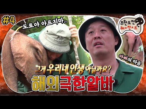 [6月의 무도] 아프지마 도토 도토 잠보🐘 시작은 분노였으나 그 끝은 감동이어라 ଘ(੭*ˊᵕˋ)੭  “해외 극한알바” 4편 infinite challenge