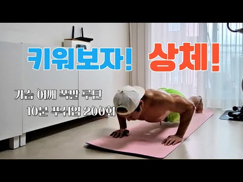상체 프레임 키우기 쌉가능푸쉬업만으로 상체 터지게 만드는 10분 루틴💪 #푸쉬업 #emom #푸쉬업200개