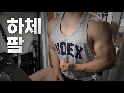 홈트 4년차 헬린이 / 쇠질 ASMR 운동 방송 / 하체, 팔 8/14