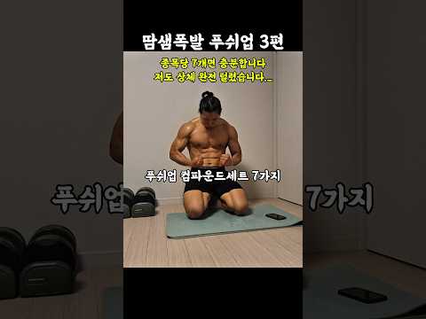 땀샘폭발 10분 푸쉬업 3편