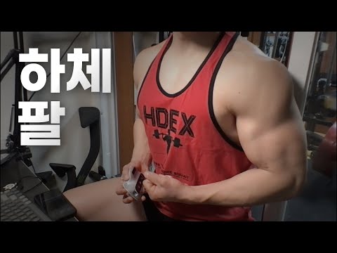 40대 직장인 / 헬스, 홈트 Home Gym / 하체, 팔 25/4/8