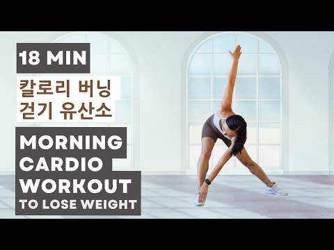 Morning Cardio Workout to Lose Weight / 활기차게 시작하는 아침운동 - 칼로리 버닝/ 걷기/ 유산소 운동