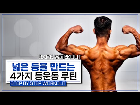 넓은 등판을 위한 4가지 등 운동 루틴