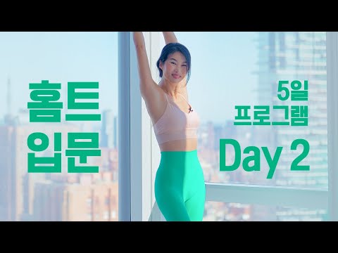 초보 홈트 입문 5일 프로그램 - Day 2