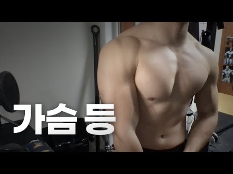 홈트 3년차 헬린이 / 쇠질 ASMR 운동 방송 / 가슴, 등 4/29