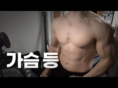 홈트 3년차 헬린이 / 쇠질 ASMR 운동 방송 / 가슴, 등 4/19