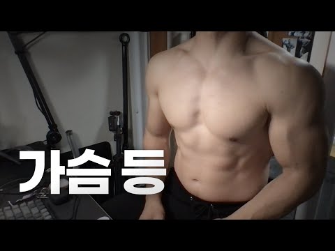 홈트 4년차 헬린이 / 쇠질 ASMR 운동 방송 / 가슴, 등 8/19