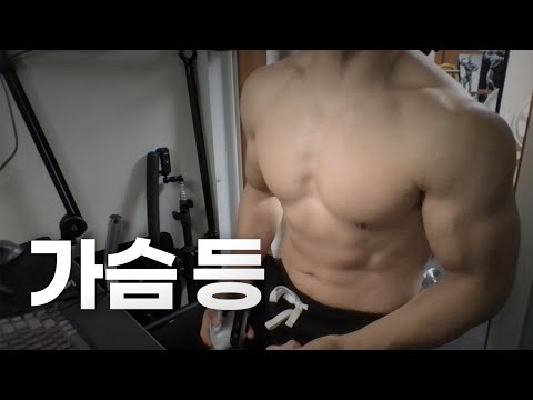 홈트 4년차 헬린이 / 쇠질 ASMR 운동 방송 / 가슴, 등 12/17